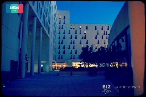 BIZ-and-Bises-13-interreseaux2-86